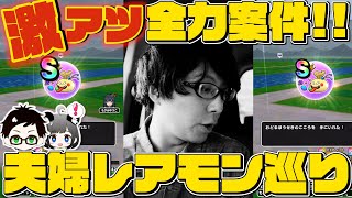 【ドラクエウォーク】こころもゴールドも激アツ⁉️全力案件の夫婦レアモン巡り｜おどるほうせき＆よろいのきし【ドラゴンクエストウォーク】