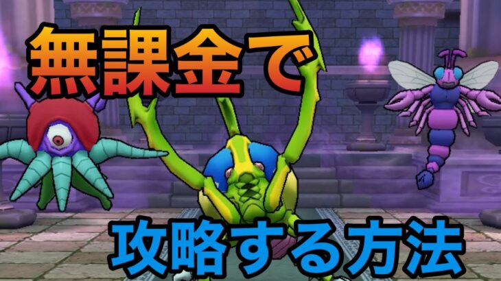 ドラクエウォーク【無課金向け】スカラベキングの祠をピックアップ装備なしで安定攻略します