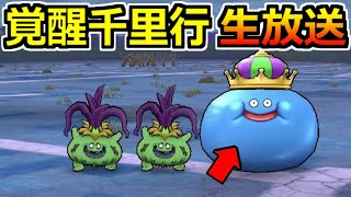 【ドラクエウォーク】覚醒千里行キングスライム編の周回生放送！こころ覚醒を目指して！