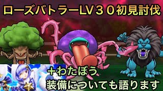 【ドラクエウォーク】ローズバトラーLV30初見討伐＆無課金でわたぼう装備は今優先にすべきか語ります【ドラゴンクエストウォーク】