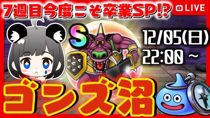 【ドラクエウォークLIVE】こころSが欲しい🔥ゴンズのほこら沼ライブ｜7週目【ドラゴンクエストウォーク】