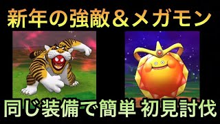 【ドラクエウォーク】超お手軽 サンライズスライム＆とらおとこLV30 同じ装備で初見討伐【ドラゴンクエストウォーク】