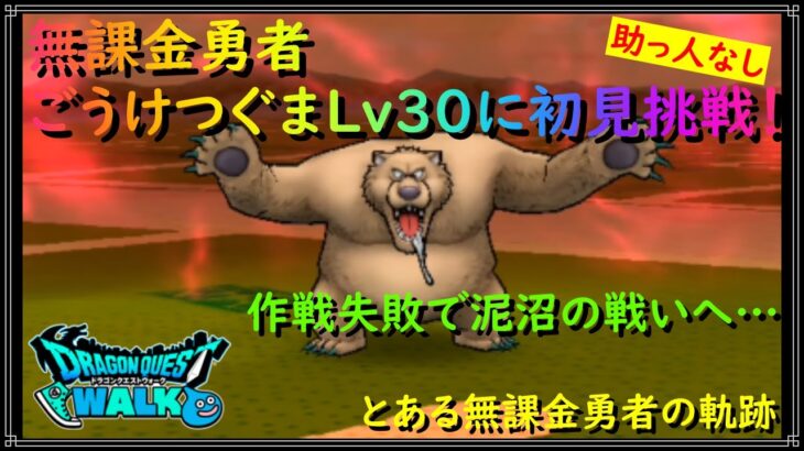 【ドラゴンクエストウォーク】無課金勇者、ごうけつぐまLv30に助っ人なしで初見挑戦！作戦失敗で泥沼の戦に…【ドラクエウォーク】