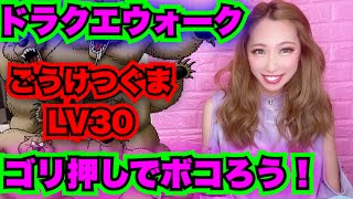 【ドラクエウォーク】クマさんはゴリ押しで！無課金ギャル勇者がいく！