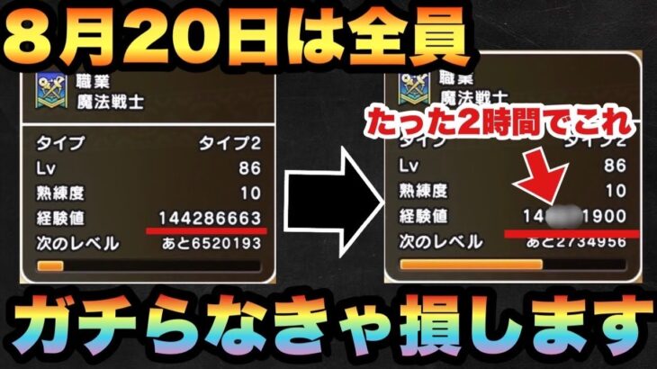 【ドラクエウォーク】かなり損します！途中の方も必ず8月20日は全員ガチらないと〇〇〇万経験値も損します！【ドラゴンクエストウォーク】