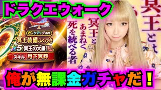 【ドラクエウォーク】冥王装備ガチャ！無課金ギャル勇者がいく！