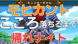 【ドラクエウォーク】3周年勢が行く！モヒカントのこころ落ちるまで帰れナイト！【メタキン剣は装備していれば1本辺り⭕%先制できる】