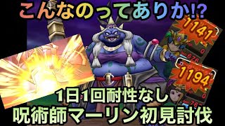 【ドラクエウォーク】マジで全滅不可避⁉︎ 呪術師マリーン 初見ソロ討伐【ドラゴンクエストウォーク】