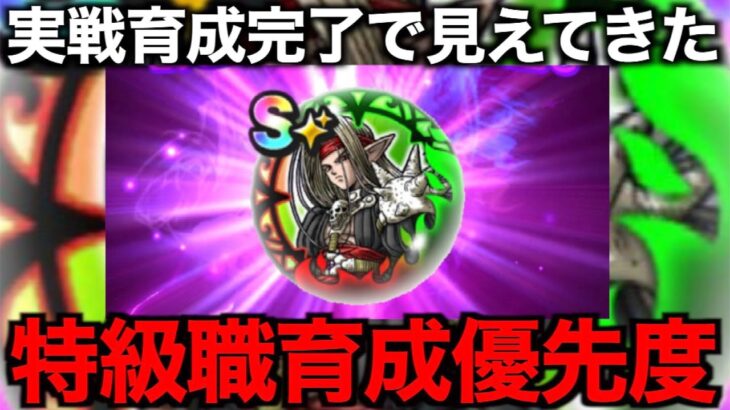 絶対に間違えないで！魔剣士の真実を話します。【ドラクエウォーク】【ドラゴンクエストウォーク】