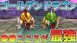 【ドラクエウォーク】ゴールデンドラゴン攻略【あの●●こころが相性抜群】