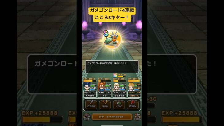 【ドラクエウォーク】ガメゴンロード4連戦‼️こころSキター❗️【ドラゴンクエストウォーク】【DQW】