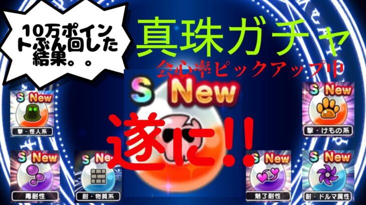 【ドラクエウォーク】真珠ガチャぶん回した結果がエグい‼️