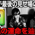 最後の晴れ舞台です。持ってたら使ってあげてください【ドラクエウォーク】【ドラゴンクエストウォーク】