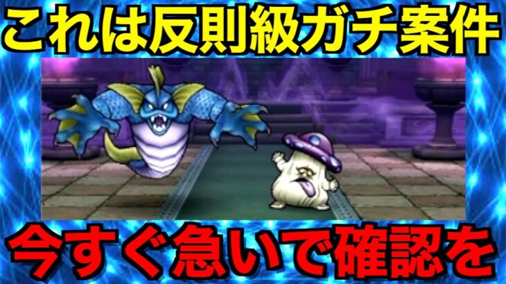 マーマンの祠実装！エグいボーナスステージです！！【ドラクエウォーク】【ドラゴンクエストウォーク】