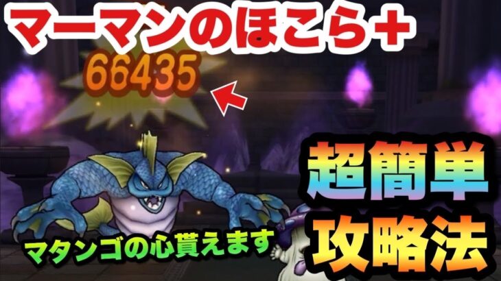 【ドラクエウォーク】あれを使えば超簡単です！マーマンのほこら＋を超安定攻略！