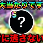 【ドラクエウォーク】これは絶対にゲットして下さい。ステータス神じゃん。最高のこころです。