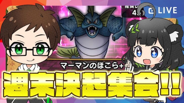 帰ってきた ほこら沼⁉️マーマン＆マタンゴ こころメダル集め🔥週末ドラクエウォーカー決起集会🍻｜イベント消化・ほこら・千里行・こころ回収【ドラクエウォーク 雑談ライブ】