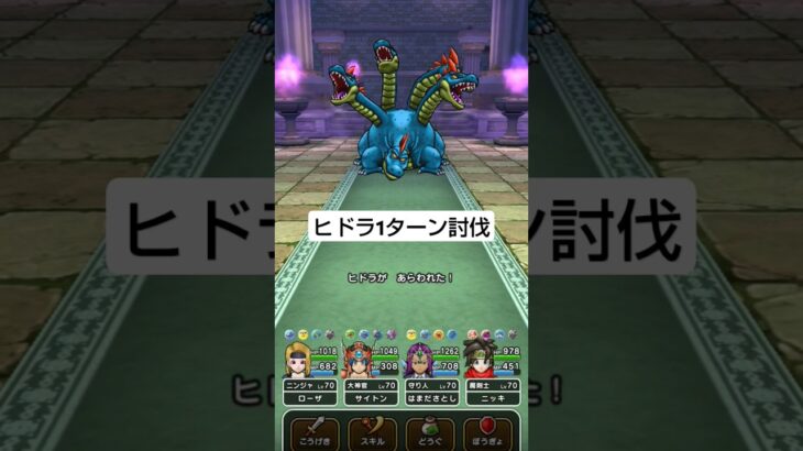 【ドラクエウォーク】ヒドラ1ターン討伐