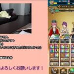 【ドラクエウォーク】無課金・ゲーム初心者女子が3ヶ月で特級職に。次回、8章ボス戦に向けて。