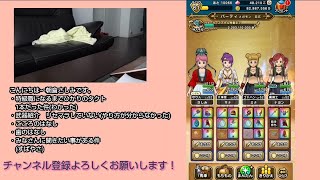 【ドラクエウォーク】無課金・ゲーム初心者女子が3ヶ月で特級職に。次回、8章ボス戦に向けて。