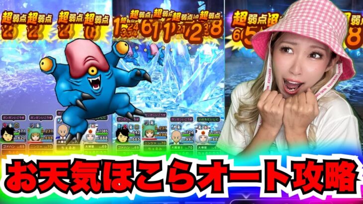 【ドラクエウォーク】お天気ほこら初見攻略！無課金ギャル勇者がいく！