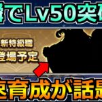 【ドラクエウォーク】新特級職レベル50まで一気にいける！？爆速育成法を取れたら勝ちですｗ