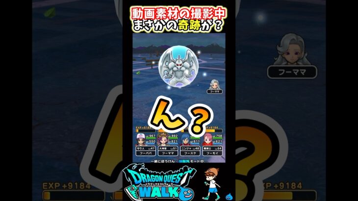 【ドラクエウォーク】動画素材撮影中にまさかの奇跡が！？【DQW】