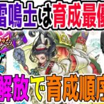 【ドラクエウォーク】天地雷鳴士は最優先育成キャラか!?レベル上限解放L＆キャンペーン中のレベリング順番をよしぞうが解説！