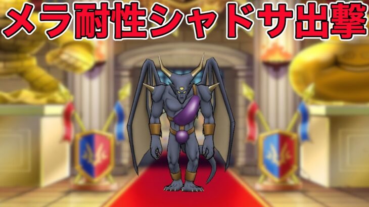 【ドラクエウォークLive】グランプリまであと1ヶ月！メラ耐性を盛ったシャドサを使ってみる。お気軽にどうぞ！