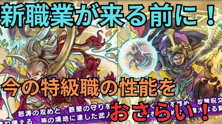 【ドラクエウォーク】新特級職が来る前に！今の特級職の性能と評価！