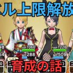 【ドラクエウォーク】レベル上限解放後のレベル上げの構成と優先度の話！