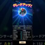 #296【ドラクエウォーク】シャドウパンサーもこの方法で初Sでした😅