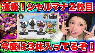 【ドラクエウォーク】新たなシャルマナ地図にそなえよう！無課金ギャル勇者がいく！