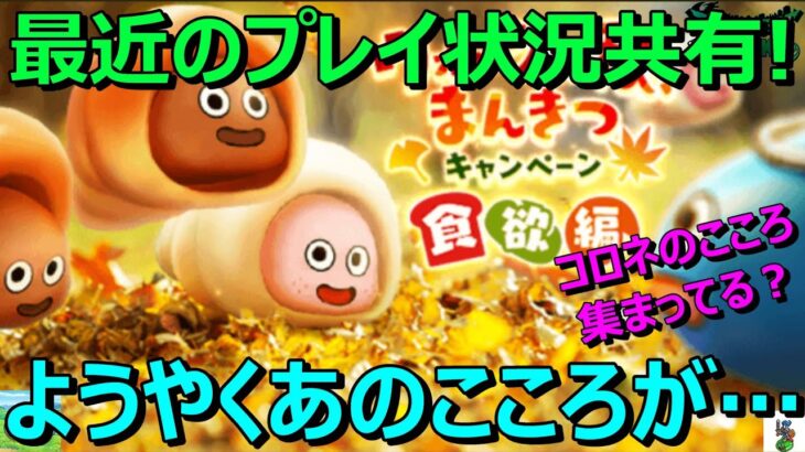 【ドラクエウォーク】どこにでもいる勇者の最近のプレイ状況共有です！バトル数…ちいさなメダル…こころ…。