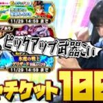 【ドラクエウォーク】ガチャチケット100連でピックアップ武器引きたい！！！！【DQW】