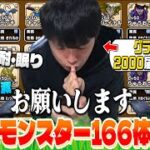 【ドラクエウォーク】次回こそグラマス目指す為のなかまモンスター166体お別れ‼︎【DQW】【仲間モンスター】