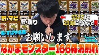 【ドラクエウォーク】次回こそグラマス目指す為のなかまモンスター166体お別れ‼︎【DQW】【仲間モンスター】