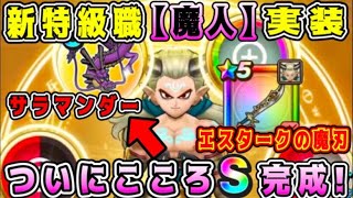 【ドラクエウォーク】新特級職【魔人】実装。新職＆新武器の雑談。【サラマンダー】ついにこころS完成！【DQW】