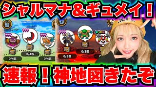 【ドラクエウォーク】神地図続々登場！無課金ギャル勇者がいく！