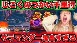 【ドラクエウォーク】サラマンダーが強すぎて！無課金ギャル勇者がいく！