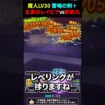 【ドラクエウォーク】魔人LV３０全員レベリング武器対決！雷鳴＆王家のレイピアVS雷鳴＆名刀斬鉄丸【DQW】2025年1月1日