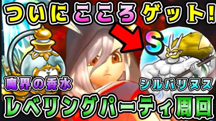 【ドラクエウォーク】ついにシルバリヌスこころSゲット！レベリングパーティ周回。【魔界のの香水】【dqw】