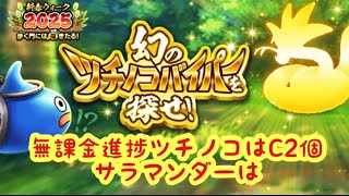 【ドラクエウォーク】無課金進捗ツチノコとサラマンダーの調子はいかがでしょうか