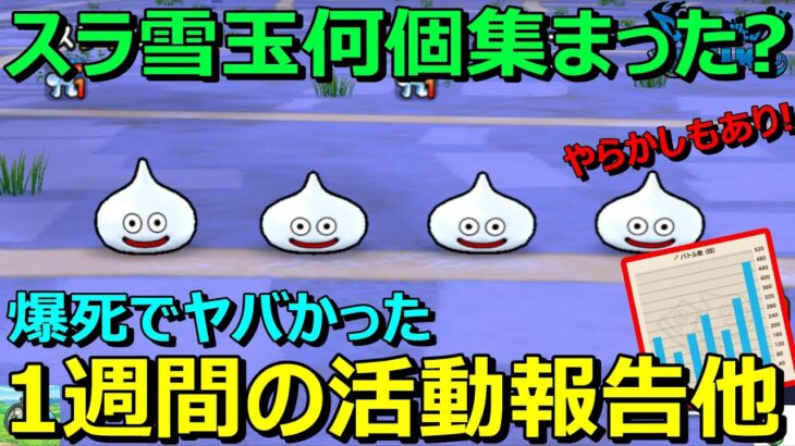 【ドラクエウォーク】ヤバかった1週間のプレイ状況の共有+スラ雪玉何個集まったかな？やらかしもあり！