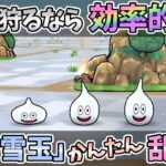 【ドラクエウォーク】無課金でもできる「スラ雪玉」大量GET!!!