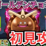 【ドラクエウォーク】ゴールデンチョコを汎用ほこらパーティーで初見攻略！！！