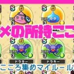 私の所持こころ紹介！集めるの大好き！