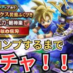 【ドラクエウォーク】若武者レックス装備（朝神楽）をフルコンプするまでガチャひきまくる！！！