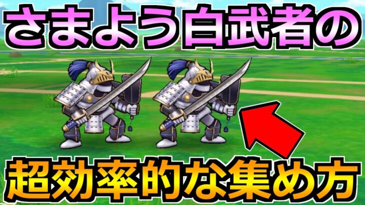 【ドラクエウォーク】さまよう白武者が1週間限定で実装！効率的な集め方はコレ！