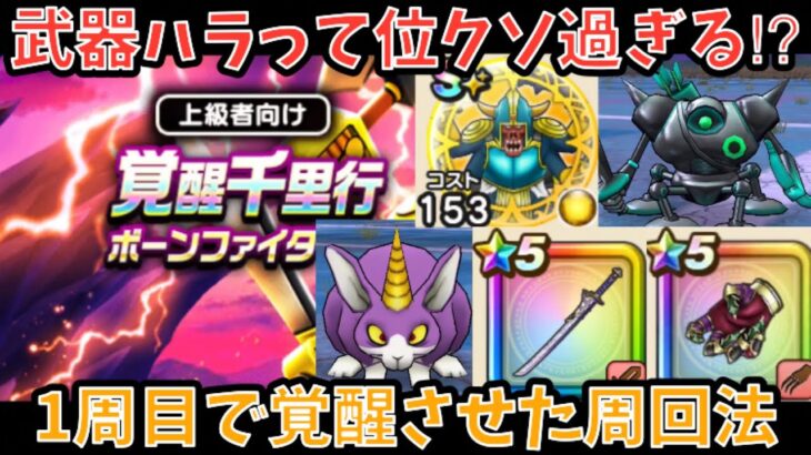 【ドラクエウォーク】構築パターンが豊富ってくらい武器ハラ！！！ 覚醒千里行 ボーンファイター を1周目のみで覚醒させたフルオート周回パーティー紹介【ドラゴンクエストウォーク】